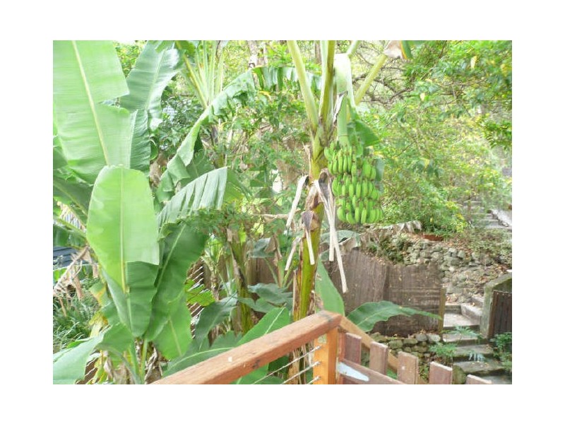 35 Sublime Point Avenue, Tascott NSW 2250