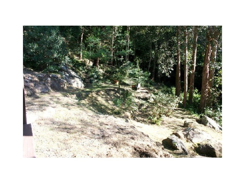 55 Melaleuca Crescent, Tascott NSW 2250