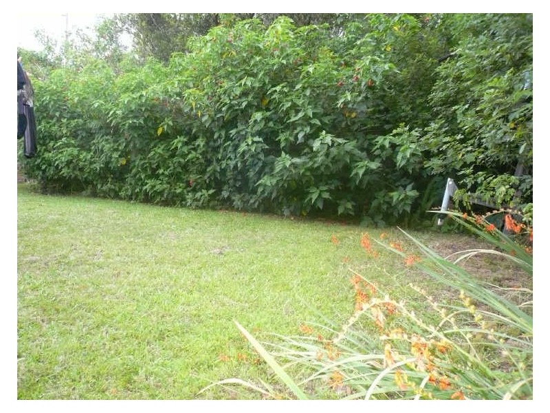 258A Brisbane Water Drive, Point Clare NSW 2250