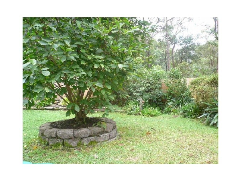 51 Wendy Drive, Point Clare NSW 2250