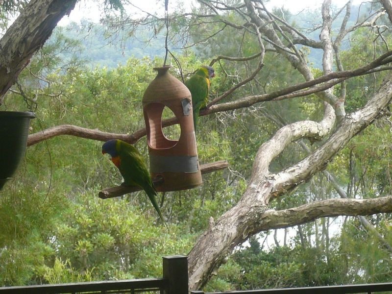 Point Clare NSW 2250