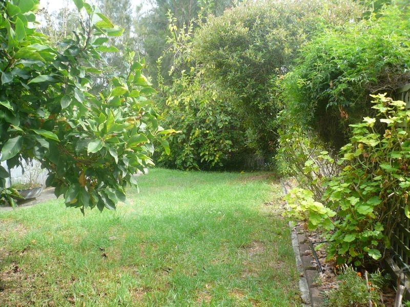 Point Clare NSW 2250