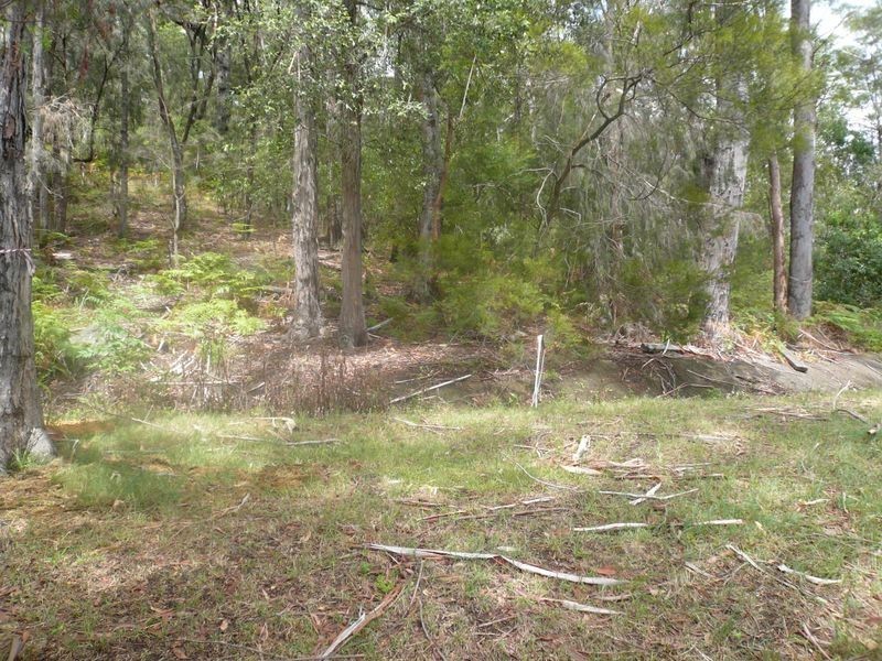 29 Tania Drive, Point Clare NSW 2250
