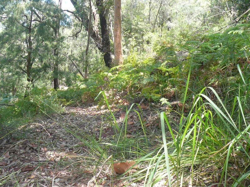 37a Sandstone Crescent, Tascott NSW 2250