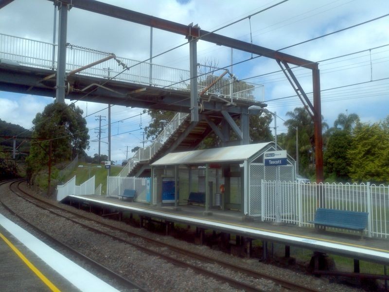 48 Bluefish Crescent, Tascott NSW 2250