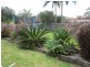 224 Brisbane Water Drive, Point Clare NSW 2250