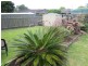 224 Brisbane Water Drive, Point Clare NSW 2250