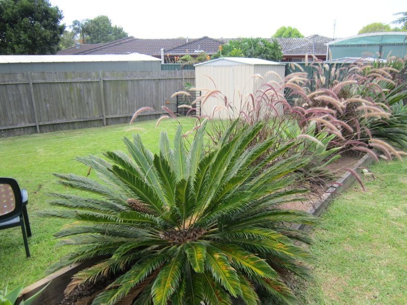 224 Brisbane Water Drive, Point Clare NSW 2250