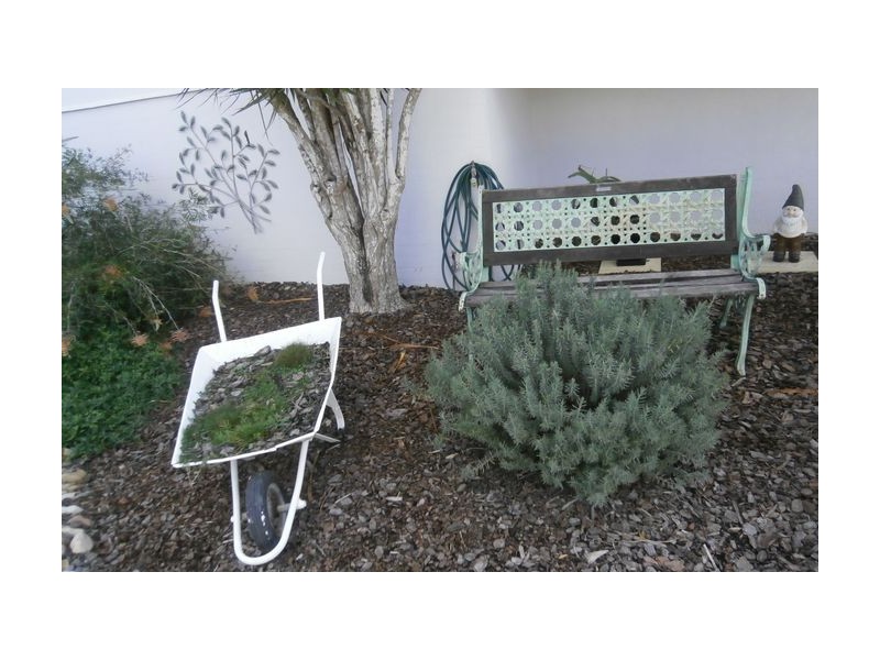 105 Mawson Street, Stafford Heights QLD 4053