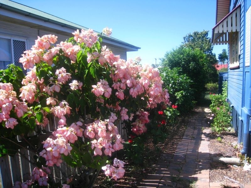 65 Hodgkinson Street, Chermside QLD 4032