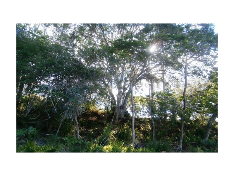 14 Griffith Street, Sandgate QLD 4017