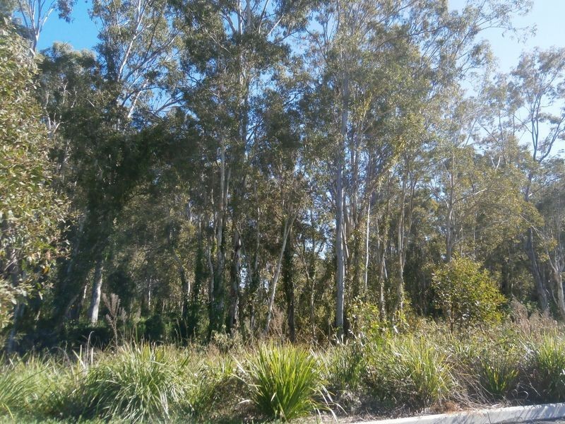 47 Windjana Cresent, Fitzgibbon QLD 4018