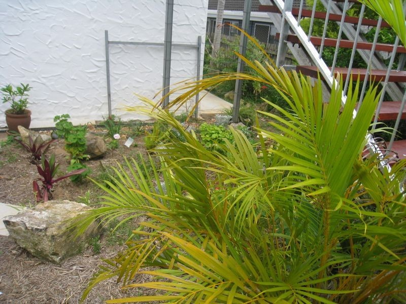 1/42 Childers Street, Kedron QLD 4031