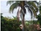 92 Eagle Terrace, Sandgate QLD 4017