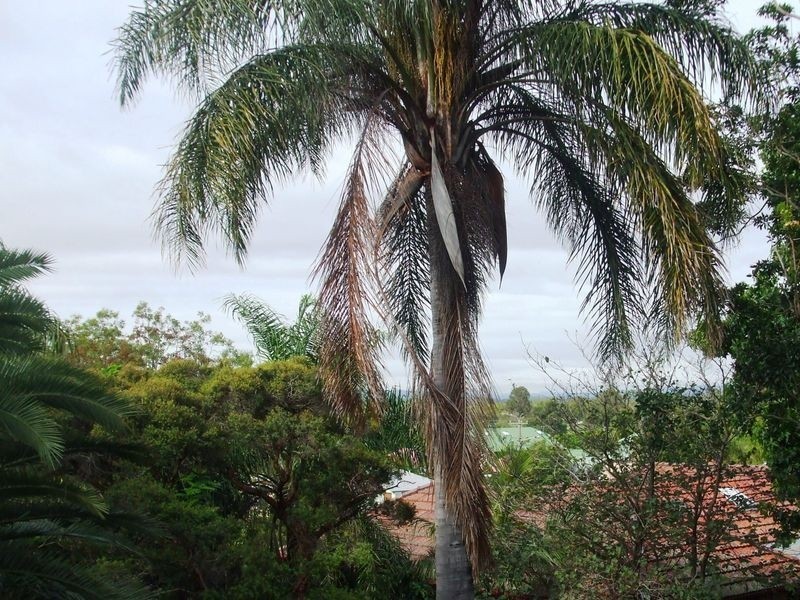 92 Eagle Terrace, Sandgate QLD 4017