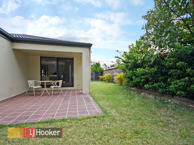 18 Melicope Street, Carseldine QLD 4034