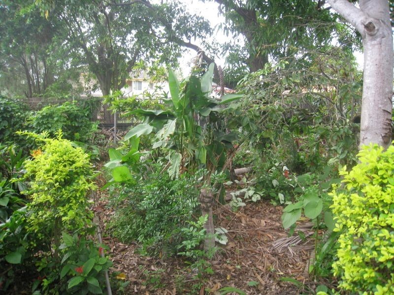 137 Redhill Road, Nudgee QLD 4014