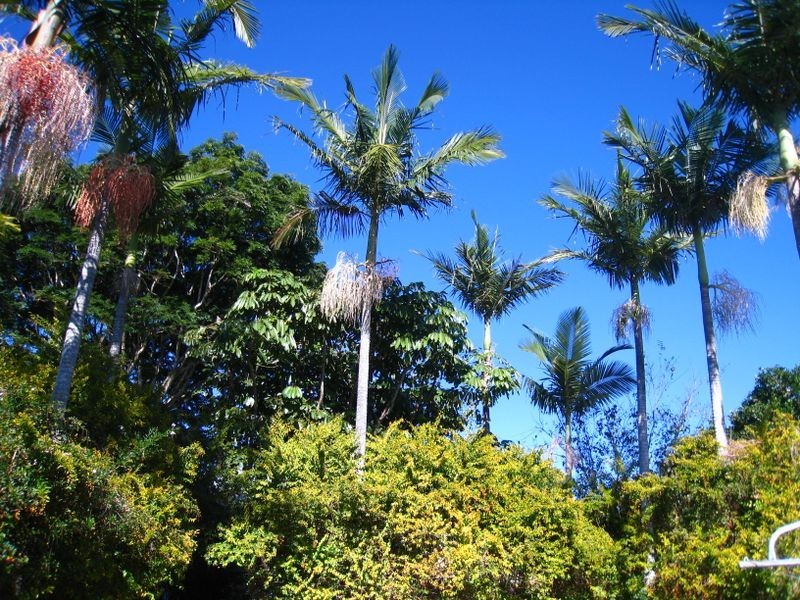 42 Sparkes Street, Chermside QLD 4032