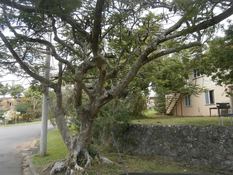 Upstairs/2 Milliner Street, Nudgee QLD 4014