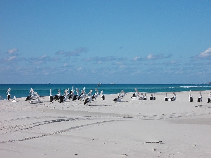 93 The Strand, Bulwer QLD 4025