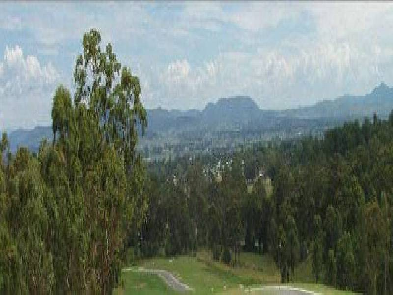 The Hills Brayford Park Estate, Beaudesert QLD 4285