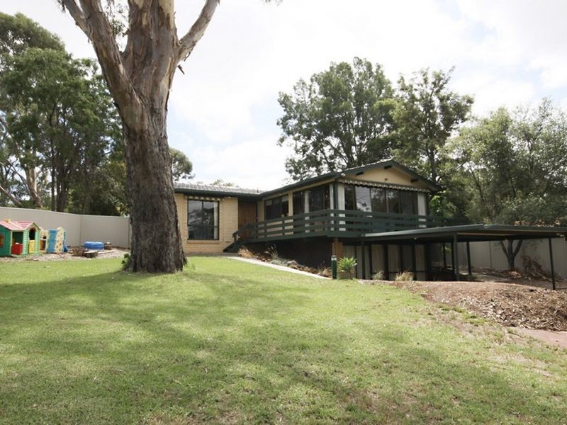 12 Linfield Avenue, Belair SA 5052