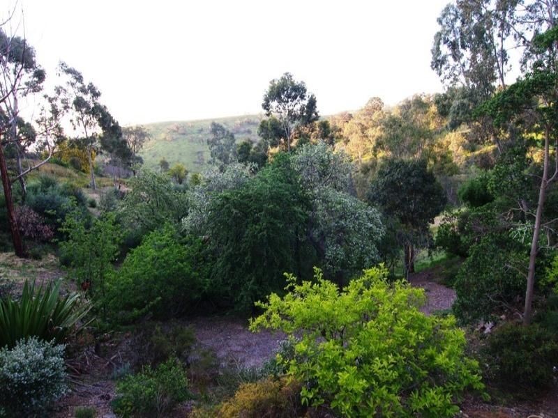 1 Horsell Road, Belair SA 5052