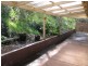 234 Coromandel Parade, Coromandel Valley SA 5051