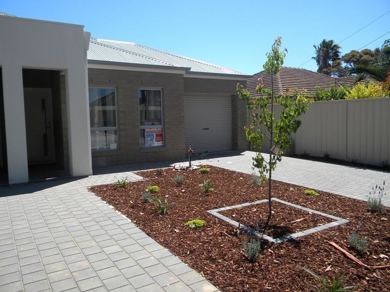 56 York Avenue, Clovelly Park SA 5042