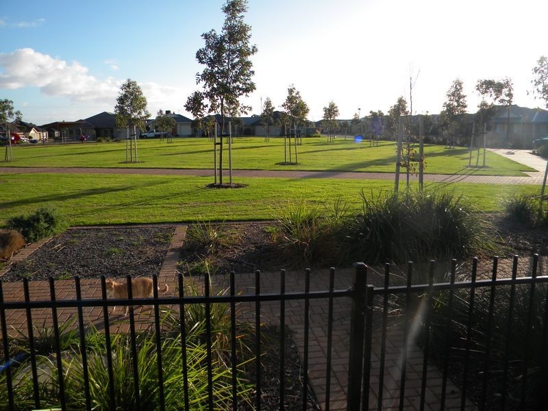 6 Silver Lane, Seaford Meadows SA 5169