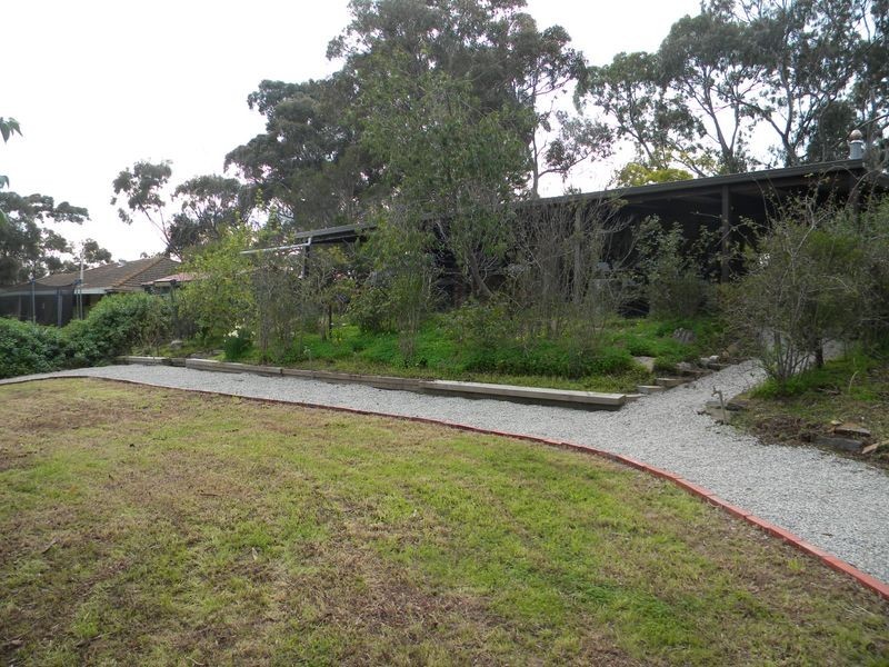 16 Light Road, Coromandel Valley SA 5051