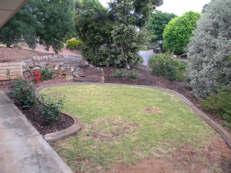 25 McKenzie Street, Coromandel Valley SA 5051