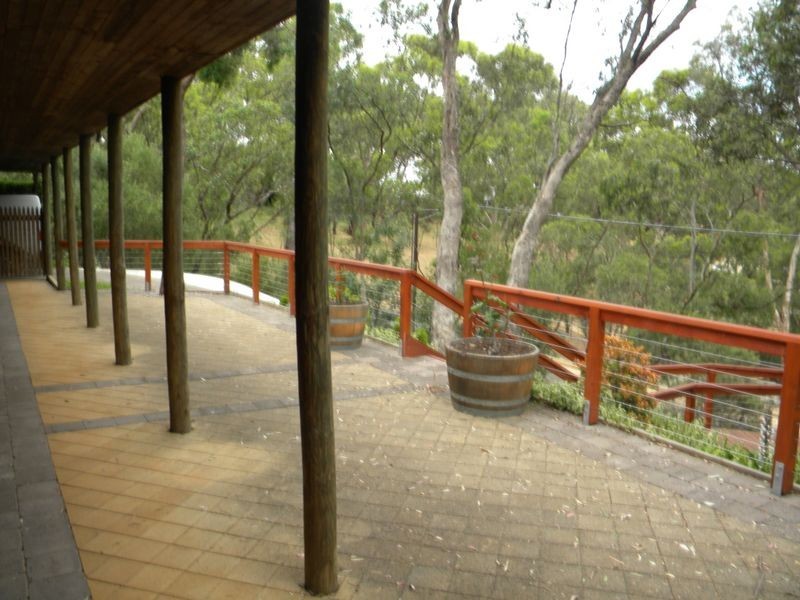 11 Walsh Court, Coromandel Valley SA 5051