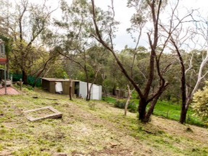 135 Sheoak Road, Belair SA 5052