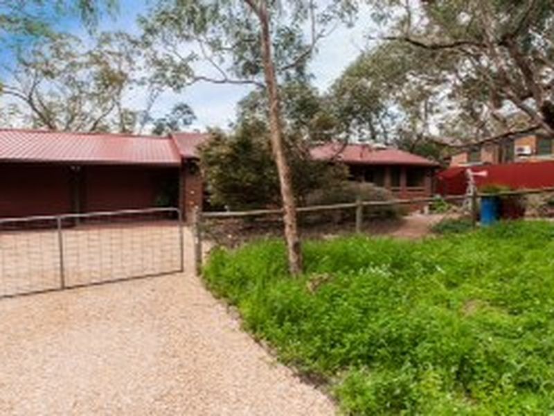 135 Sheoak Road, Belair SA 5052