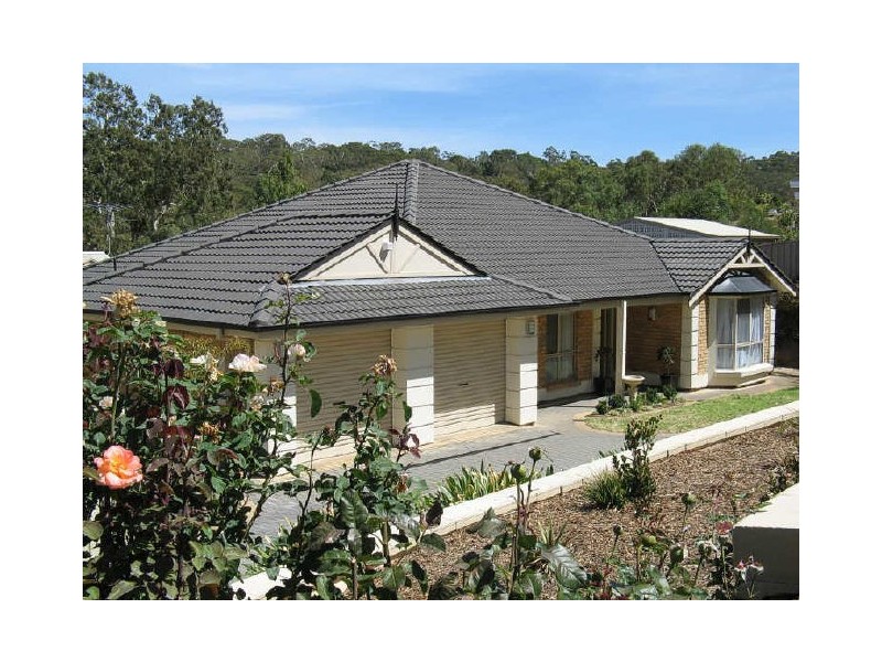 6 Carnation Close, Coromandel Valley SA 5051