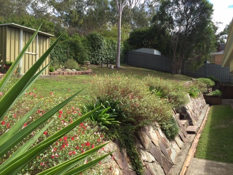 8 Devon Drive, Coromandel Valley SA 5051