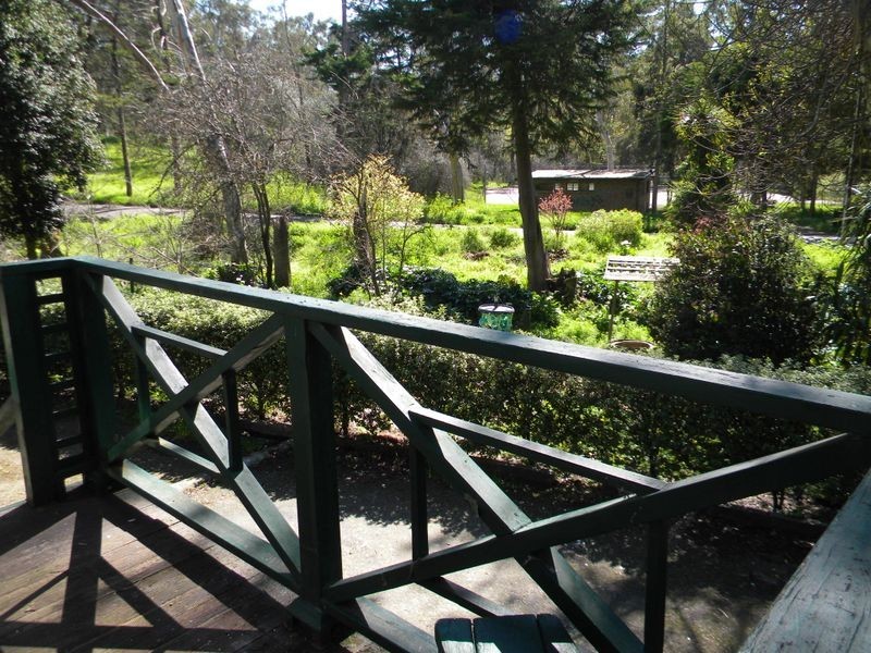 25A Acacia Road, Hawthorndene SA 5051