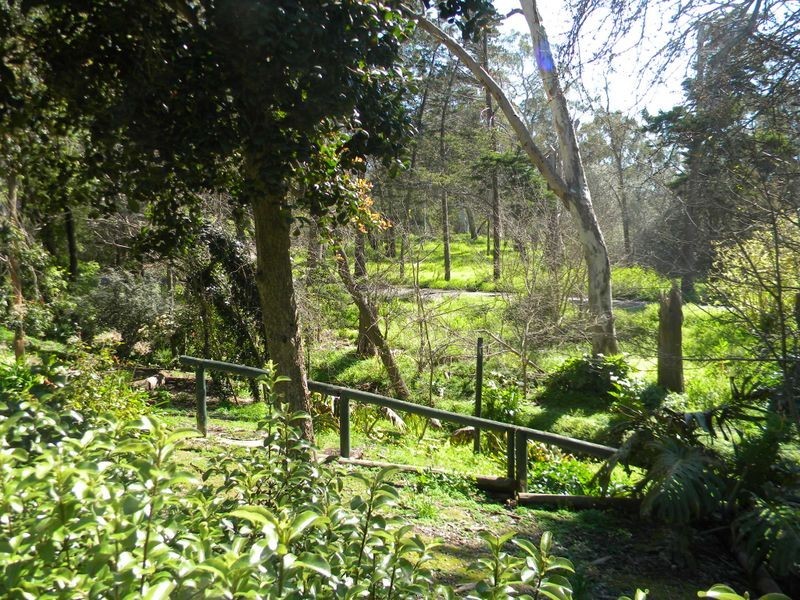 25A Acacia Road, Hawthorndene SA 5051