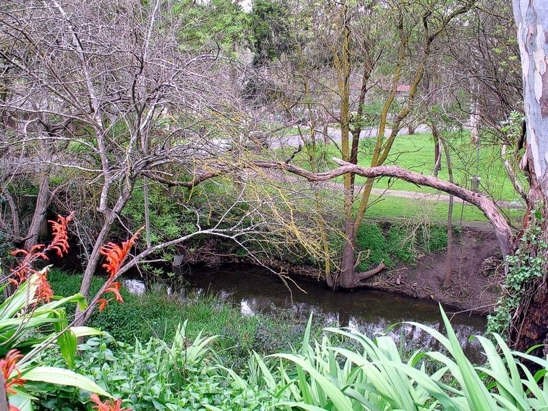 8 Shepherd Court, Coromandel Valley SA 5051