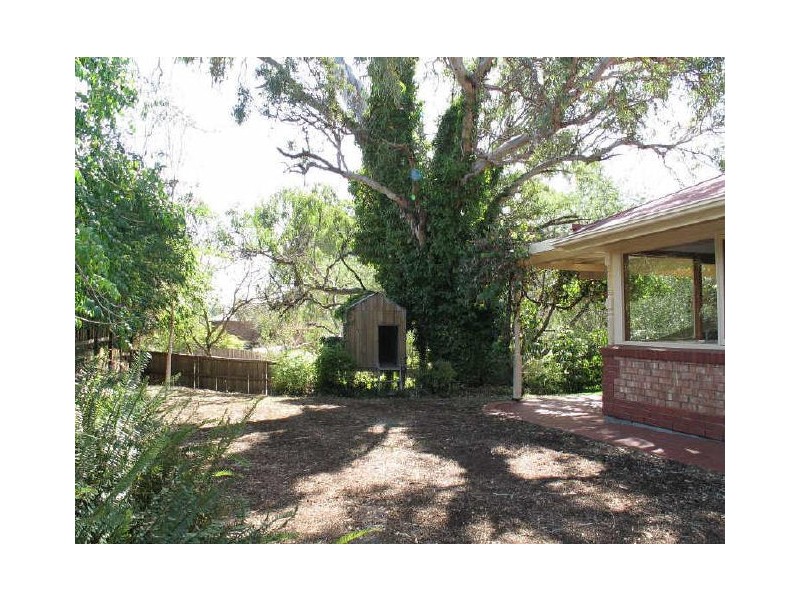 8 Petrel Court, Flagstaff Hill SA 5159