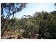 52 Gum Grove, Belair SA 5052