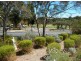 14 Murrays Hill Road, Coromandel Valley SA 5051