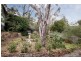 16 Louis Avenue, Hawthorndene SA 5051