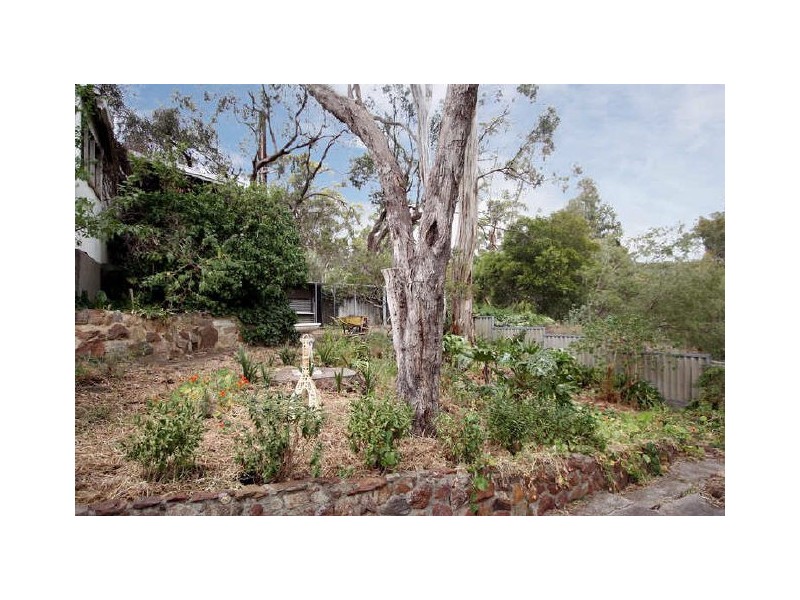16 Louis Avenue, Hawthorndene SA 5051