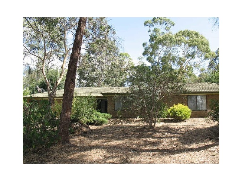 54 Light Road, Coromandel Valley SA 5051