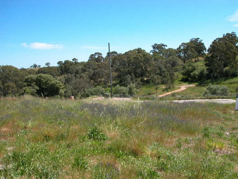 Lot 606 Holly Hock Court, Craigburn Farm SA 5051