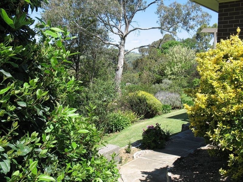 36 Jackson Avenue, Coromandel Valley SA 5051