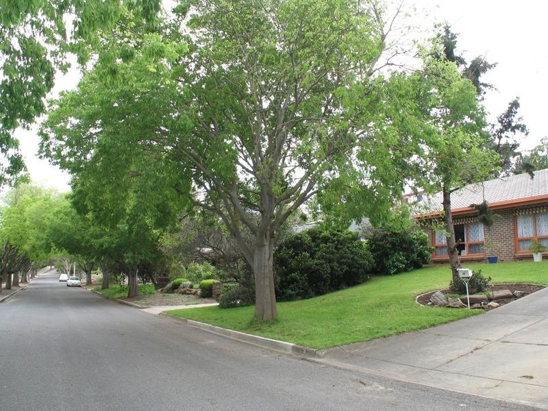 22 Heath Street, Bedford Park SA 5042