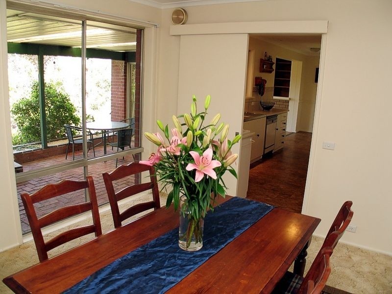 31 Jackson Avenue, Coromandel Valley SA 5051